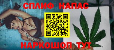 стафф Краснодар