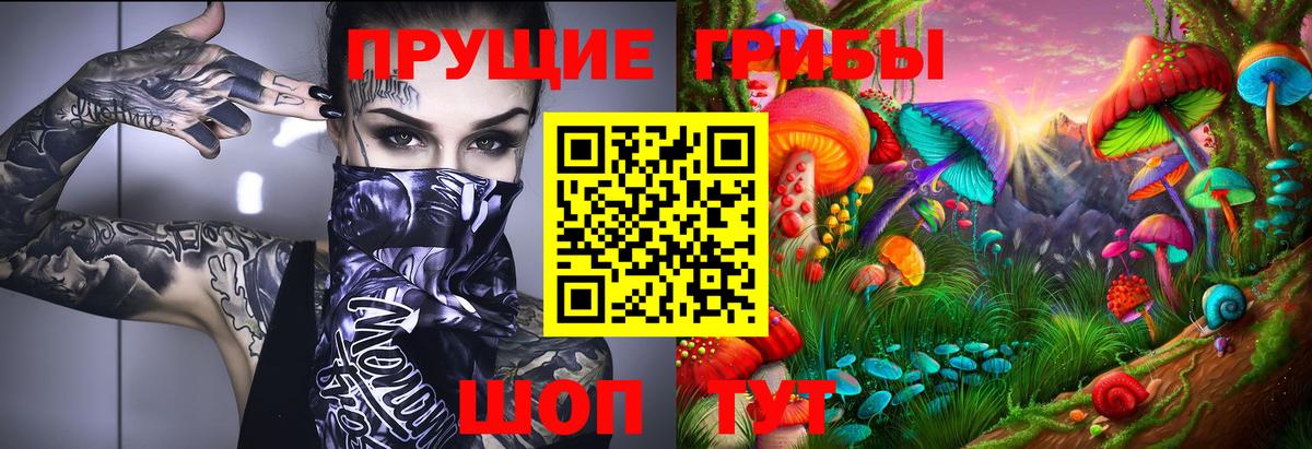 Псилоцибиновые грибы прущие грибы Вольск